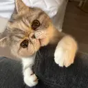 伊藤 菜緒のプロフィール画像