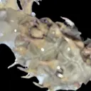 鈴木 唯のプロフィール画像