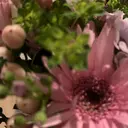 Butterfly 田邉のプロフィール画像