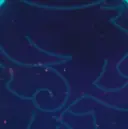 Maison 加部のプロフィール画像