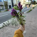 村上 由衣のプロフィール画像