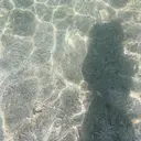 airRe rukaのプロフィール画像