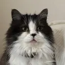 k nのプロフィール画像