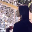 伊藤 睦月のプロフィール画像