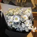 安部 ひなたのプロフィール画像