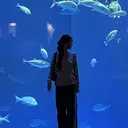 grace hair Lan / yuiのプロフィール画像