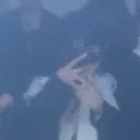 ショート/ブリーチ /い な みのプロフィール画像