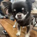 中村 愛梨のプロフィール画像