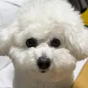 B☆STAR 佐々木のプロフィール画像