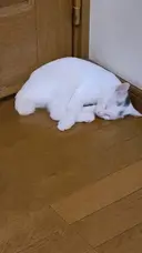 中村 宏実のプロフィール画像