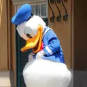 荒川 友紀乃のプロフィール画像