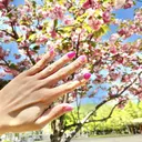 宇野 舞美のプロフィール画像