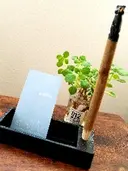 ca lmのプロフィール画像