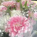 西川 穂香のプロフィール画像