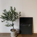 cinq　naomi .のプロフィール画像