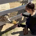 上野台 彩加のプロフィール画像