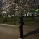 風歌 NILLUのプロフィール画像