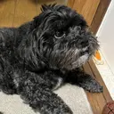 西川 彰太のプロフィール画像