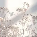 🤍 莉央のプロフィール画像