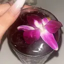 Moon🌙 Yunaのプロフィール画像