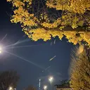 板垣 愛理/airiのプロフィール画像