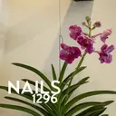 YURIE ☺︎のプロフィール画像