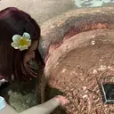 aka neのプロフィール画像