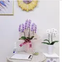 Mirpop nailのプロフィール画像