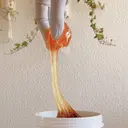 Asano Makikoのプロフィール画像