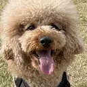 寺島 瑠菜のプロフィール画像