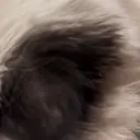 谷 有生のプロフィール画像