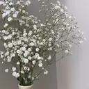 IBIS 所沢のプロフィール画像