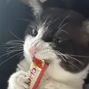 【enurk】 ゆうなのプロフィール画像