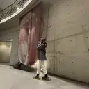 mayuu ✿のプロフィール画像