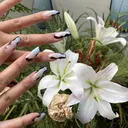 RIO NAILのプロフィール画像