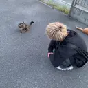 《メンズ特化》 早川 愛斗のプロフィール画像