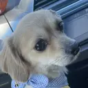 k. Mariのプロフィール画像