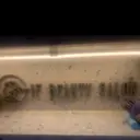 佐藤 もものプロフィール画像