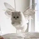 たかわし みわのプロフィール画像