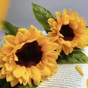 Yu Rai 表参道のプロフィール画像