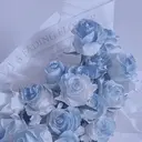 R🌹 ⁺⊹˚.のプロフィール画像