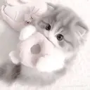 長澤 恋杜のプロフィール画像