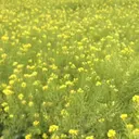 宮田 裕菜のプロフィール画像