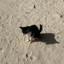 葛巻 羽菜のプロフィール画像