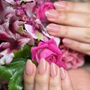 fig nailのプロフィール画像