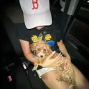 NIA🧊 YurieOsaのプロフィール画像