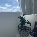 🌱肌質改善🌱 POLA高石店のプロフィール画像