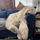 井川 夏乃のプロフィール画像