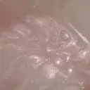 黒口 香乃のプロフィール画像