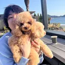 【初回限定】 柏　早坂ケースケのプロフィール画像